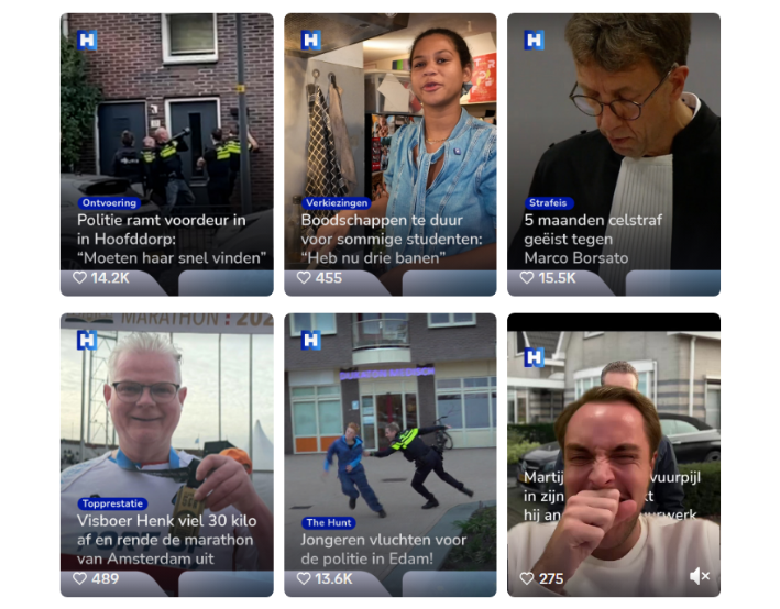 Een collage van zes miniaturen van nieuwsvideo's met bijschriften in het Nederlands, die verschillende scènes laten zien: politie aan een deur, een vrouw die spreekt, een man met een bril die leest, een man die vis vasthoudt, politie die jongeren achtervolgt en een man die in zijn oog wrijft.